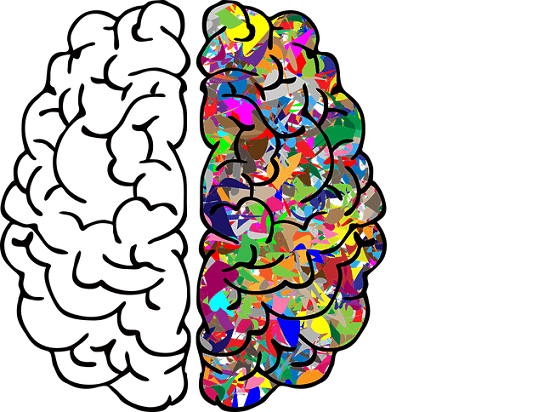 IA brain