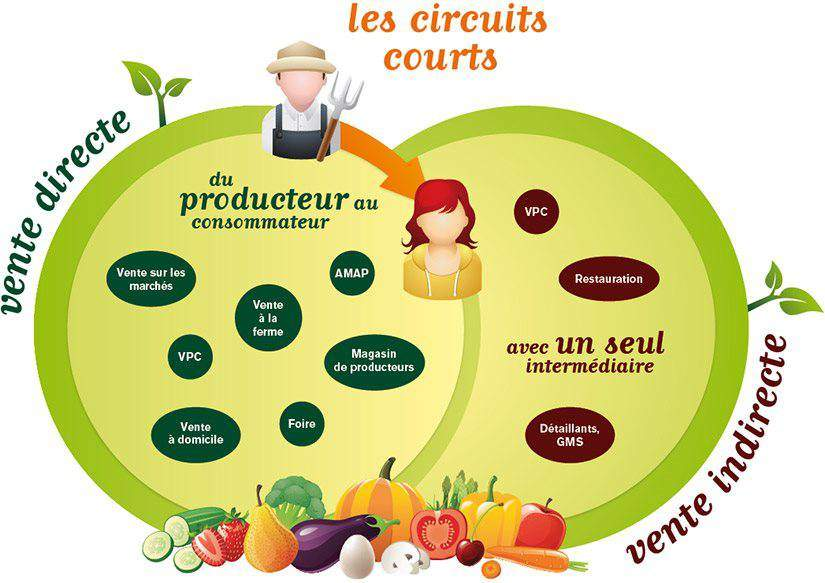 circuits courts
