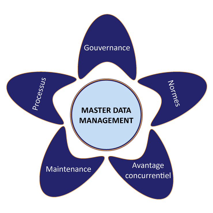 les 5 clefs du Master Data Management