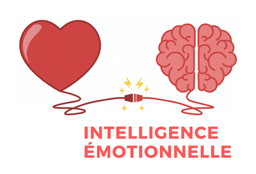 L'intelligence émotionnelle : connexion entre le coeur et le cerveau