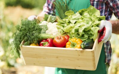 Les marques alimentaires face aux nouveaux modes de consommation