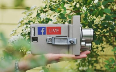 Le live-streaming : simple divertissement ou nouvelle branche du e-commerce ?